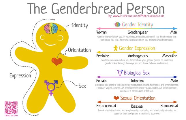 1600-genderbread-person